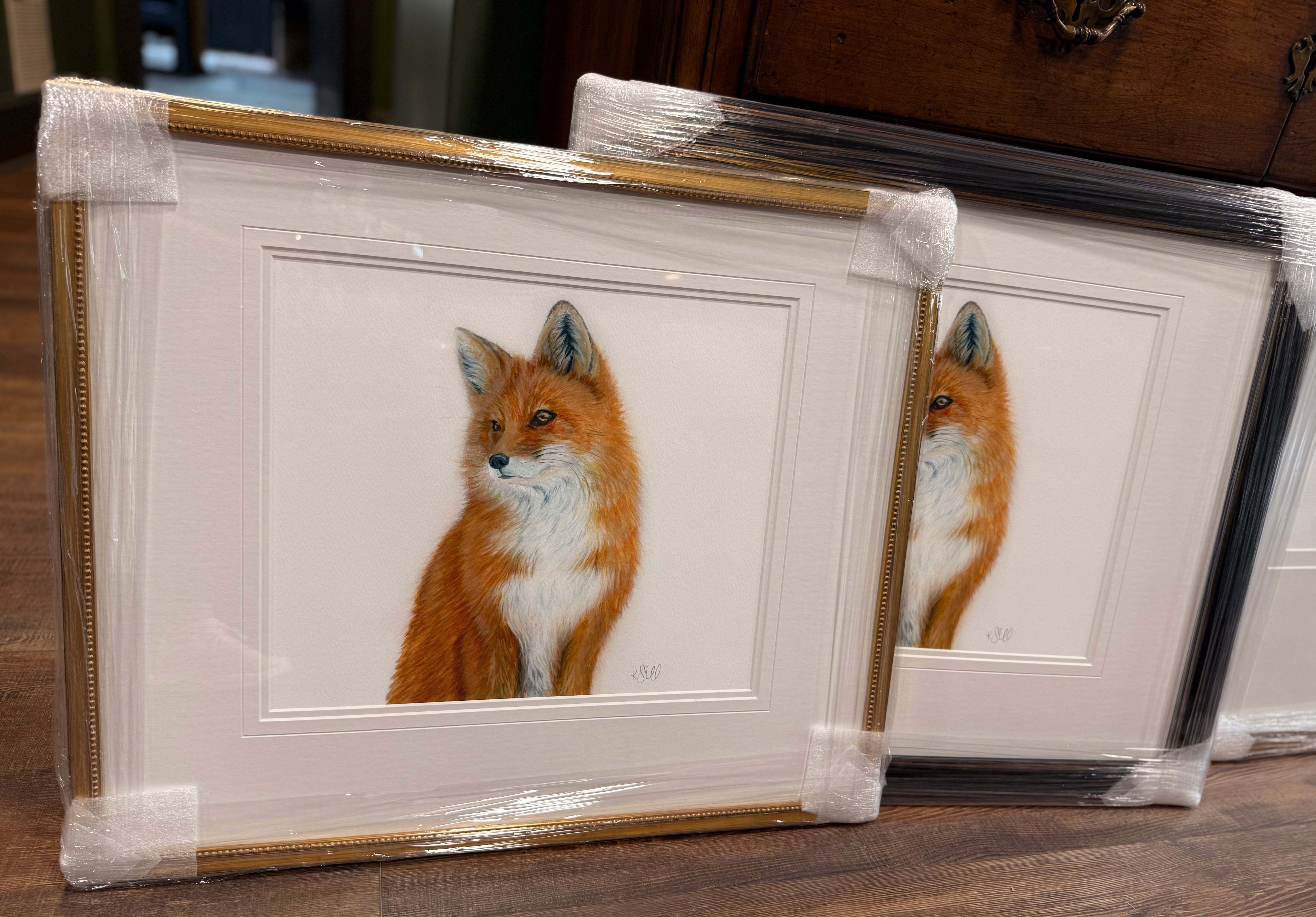 Curious Fox Print