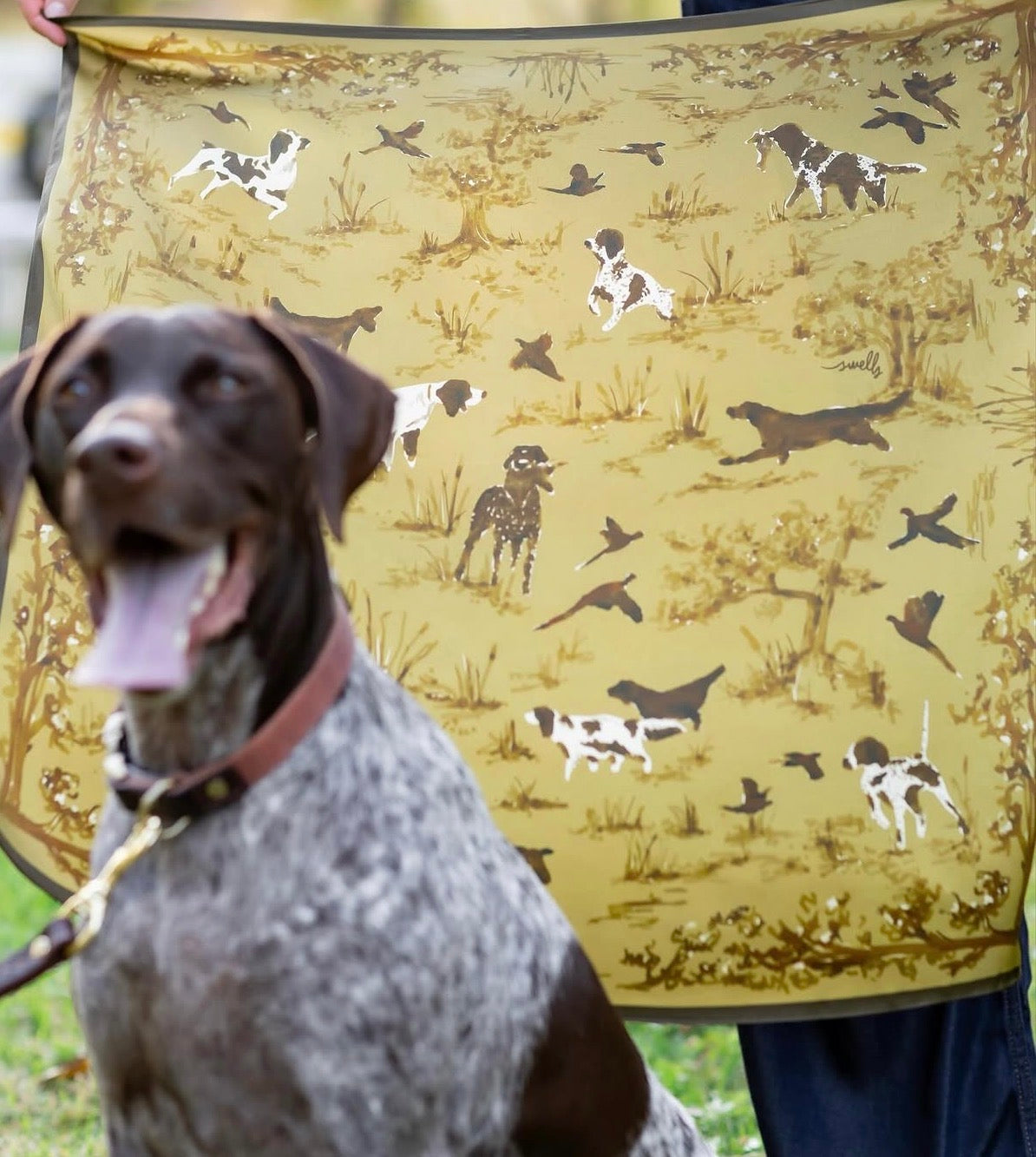Swells Green Birddog Scarf