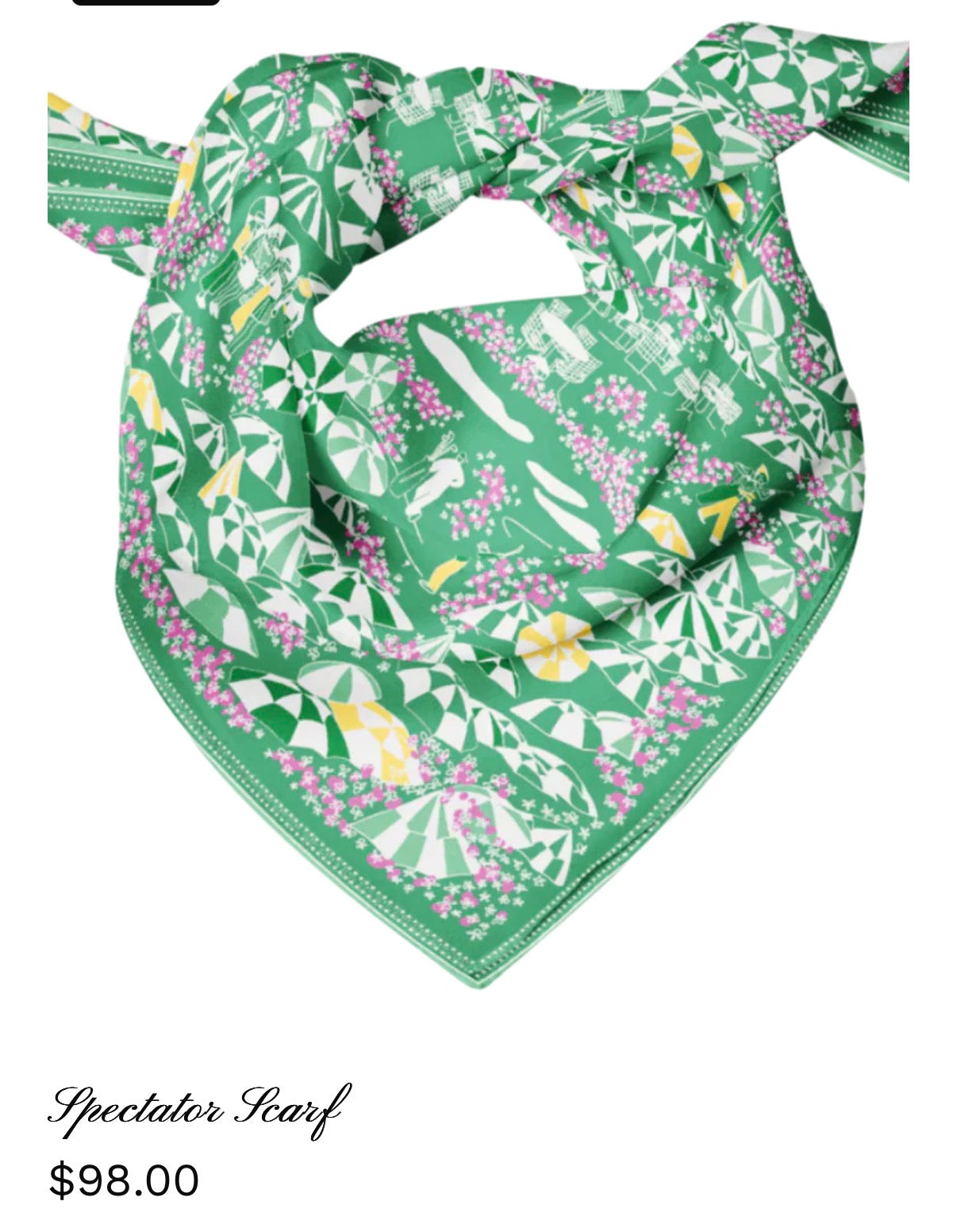 Swells Spectator Scarf