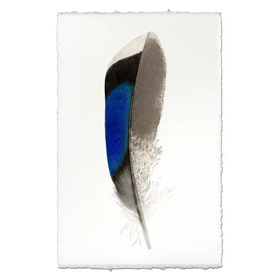 Mallard Duck Feather in Frameless Leather and Steel Hanger