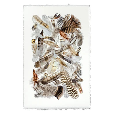 Collective Feathers in Frameless Leather and Steel Hanger