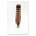 Grouse Feather in Frameless Leather and Steel Hanger