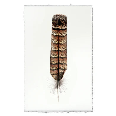 Grouse Feather in Frameless Leather and Steel Hanger