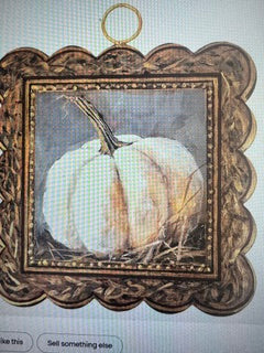 Mini Scallop White Pumpkin RTC