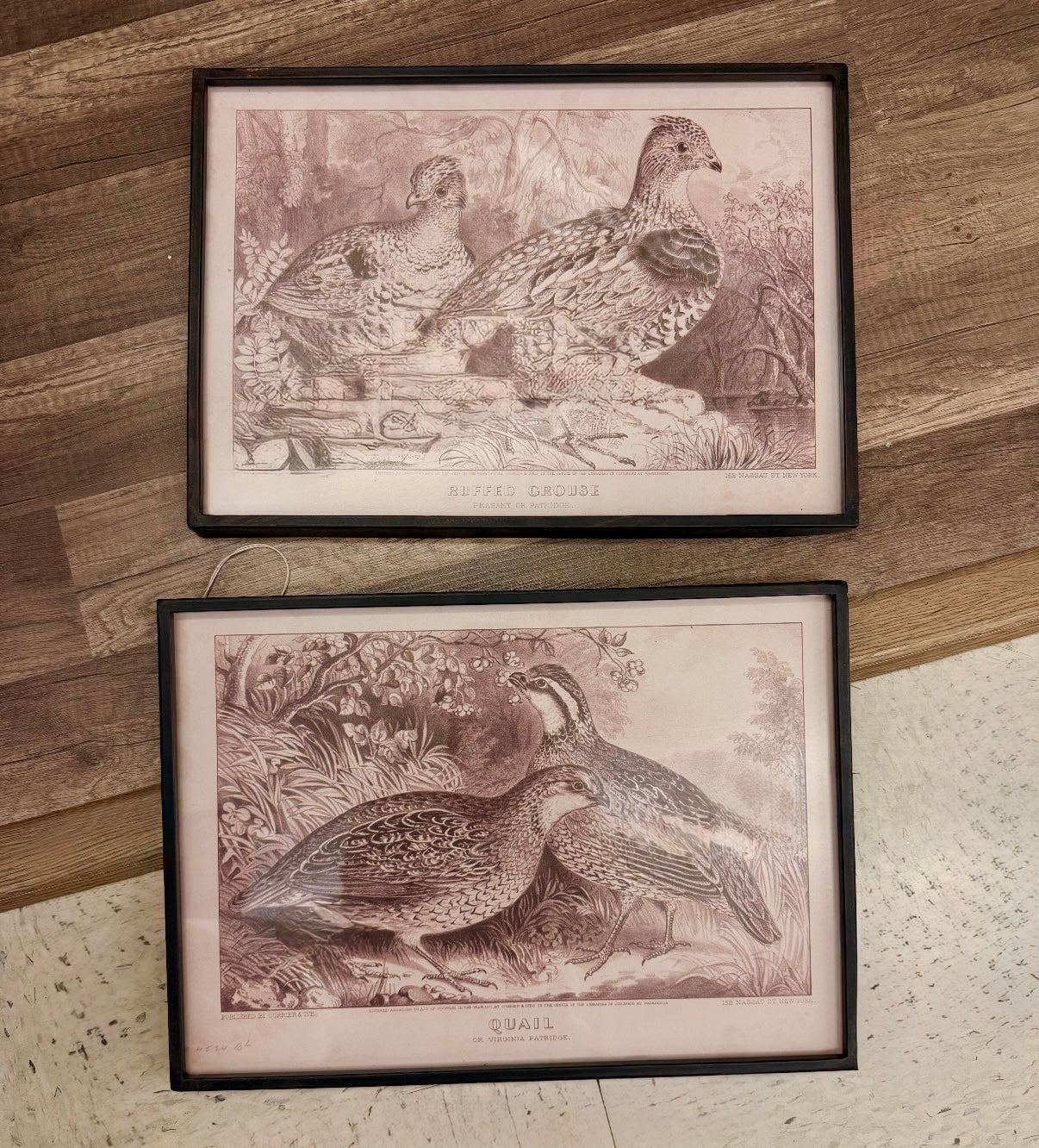 Pair of Framed Ornithological Quail and Grouse Prints