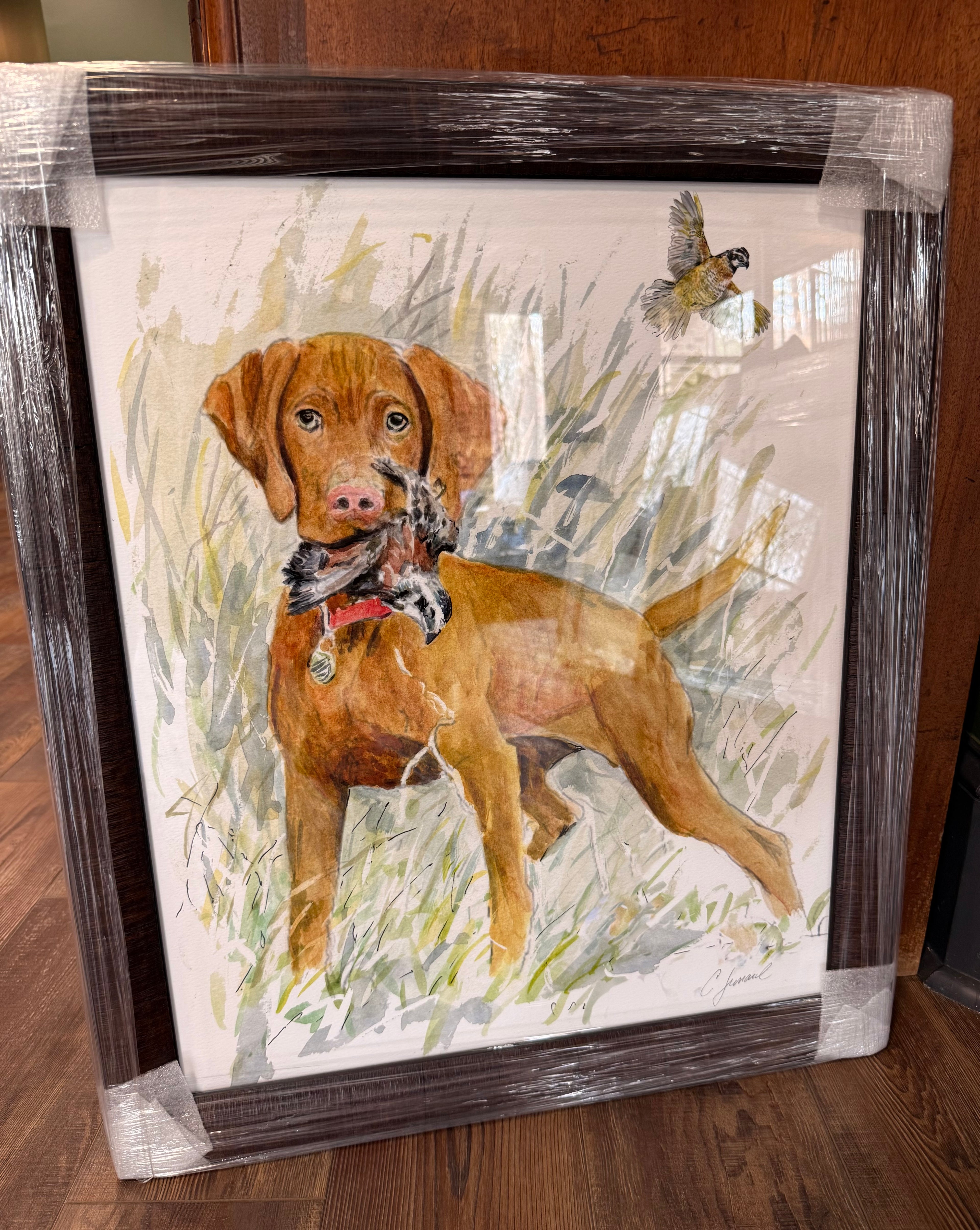 Hunting Vlzsla Print in Dark Wood Frame