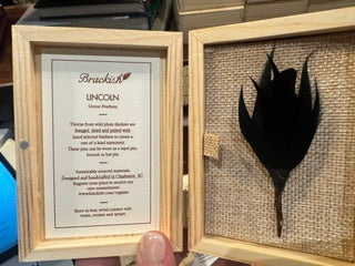 Brackish Lincoln Pin - Black