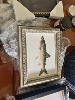 Framed Lake Trout Silver Gold Frame