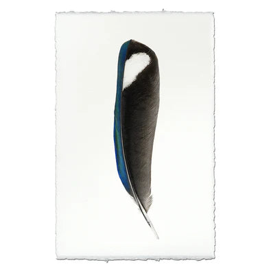 Magpie Feather in Frameless Leather and Steel Hanger