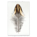 California Quail Feather in Frameless Leather and Steel Hanger