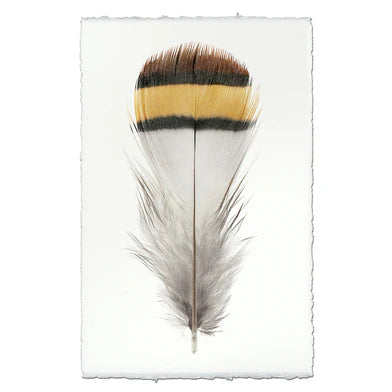 Chukar Partridge Feather in Frameless Leather and Steel Hanger