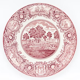 UGA Pink Plate